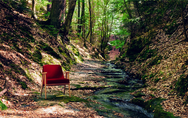 366 Concept & Forest Forever Foundation: Let Design and Nature Stay Together