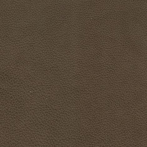 Fabrics Samples