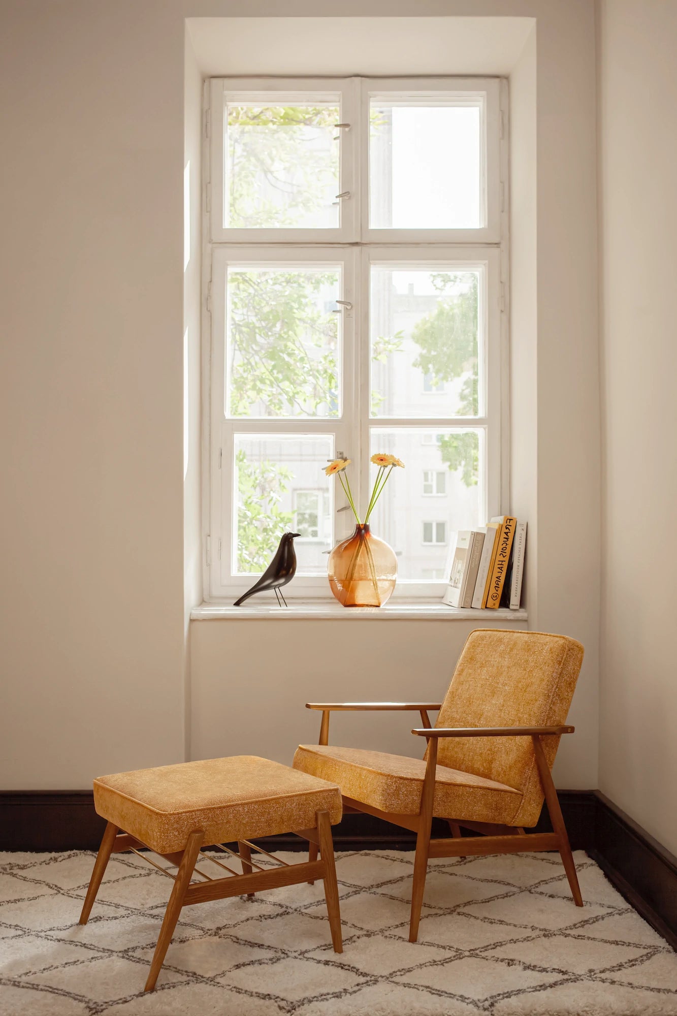 foxac_photo_mood_2.webp