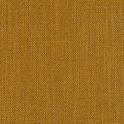 Coco / Mustard